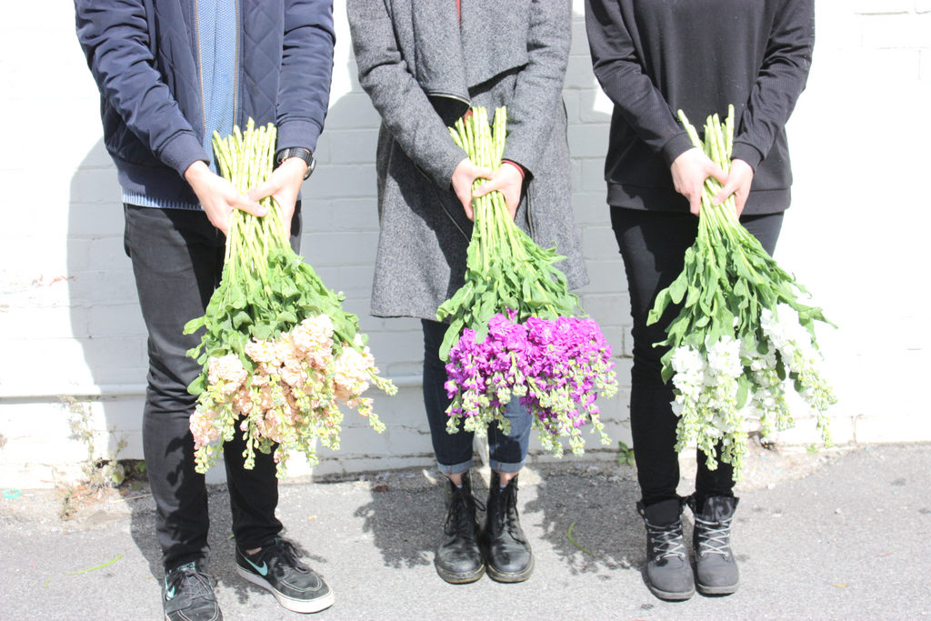 A Little Bunch Perth - Flower posy bouquets for Perth delivery