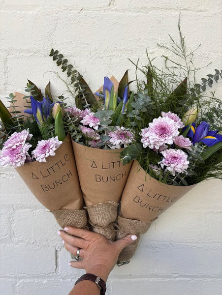 A Little Bunch - Friday 2nd of May 2025
