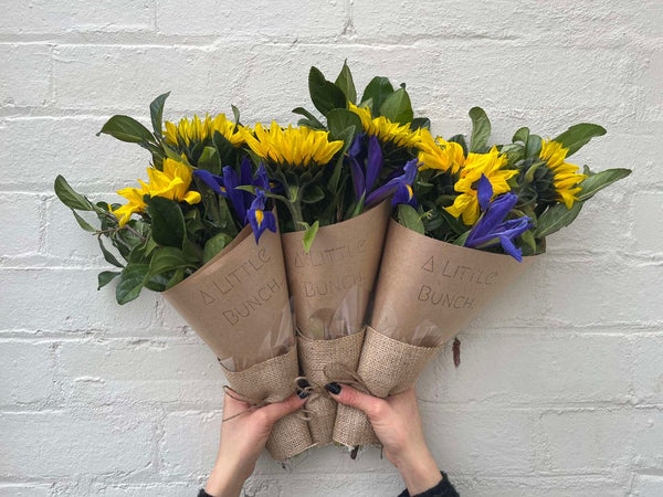 A Little Bunch - Friday 9th August 2024