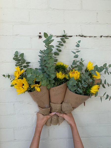 A Little Bunch - Monday 22nd April 2024