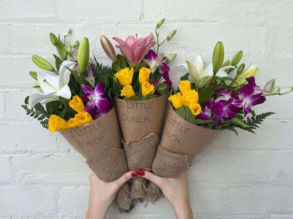 A Little Bunch - Thursday 29th August 2024