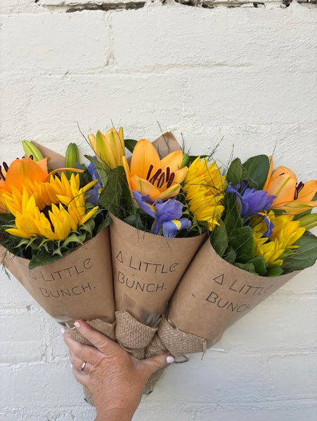A Little Bunch - Thursday 8th of May 2025