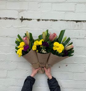A Little Bunch -  Tuesday 18th  July 2023
