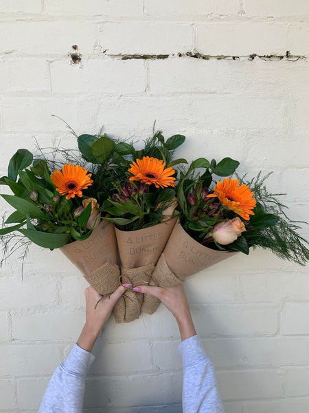 A Little Bunch - Tuesday 6th August 2024