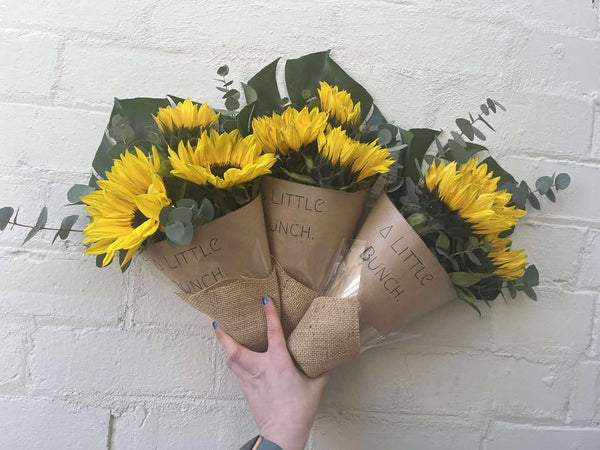 A Little Bunch - Wednesday 10th September 2025