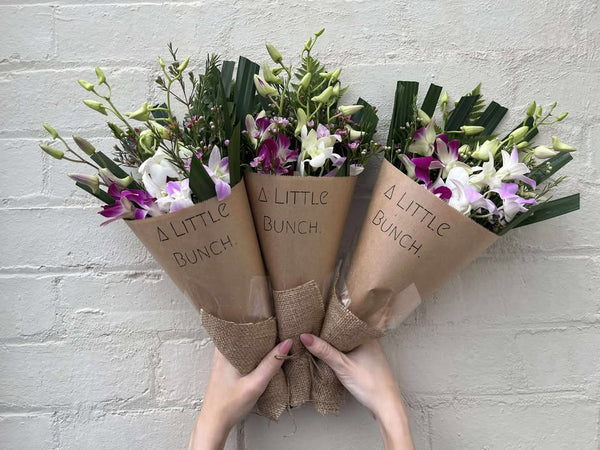A Little Bunch - Wednesday 11th June 2025