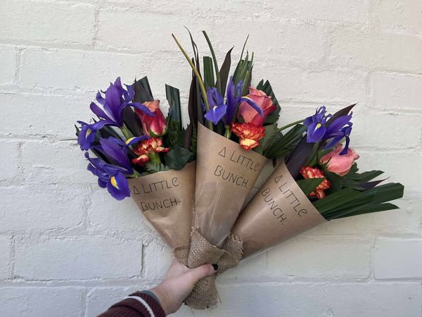 A Little Bunch - Wednesday 28th May 2025