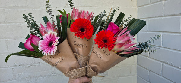 A Little Bunch - Monday 9th June 2025