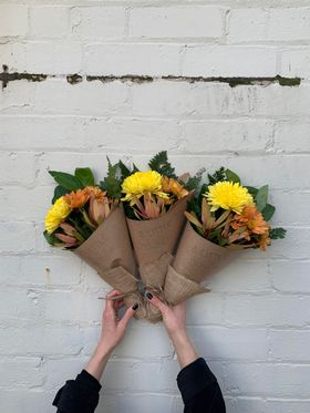 A Little Bunch -  Thursday 10th August 2023