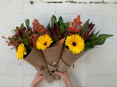 A Little Bunch -  Thursday 16th November 2023