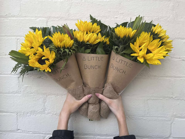 A Little Bunch - Tuesday 17th June 2025