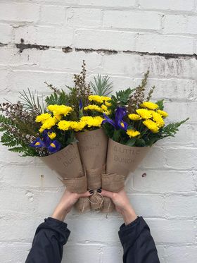A Little Bunch - Wednesday 31st May 2023