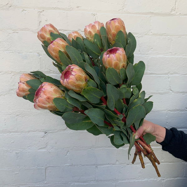 A Little Bunch - Tuesday 15th February 2022