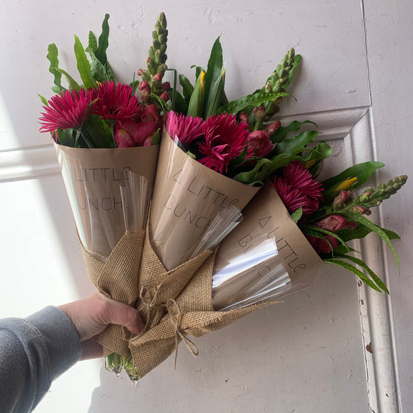 Past Little Bunch - Friday 11th September 2020