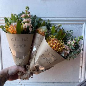 Past Little Bunch - Friday 15th October 2021