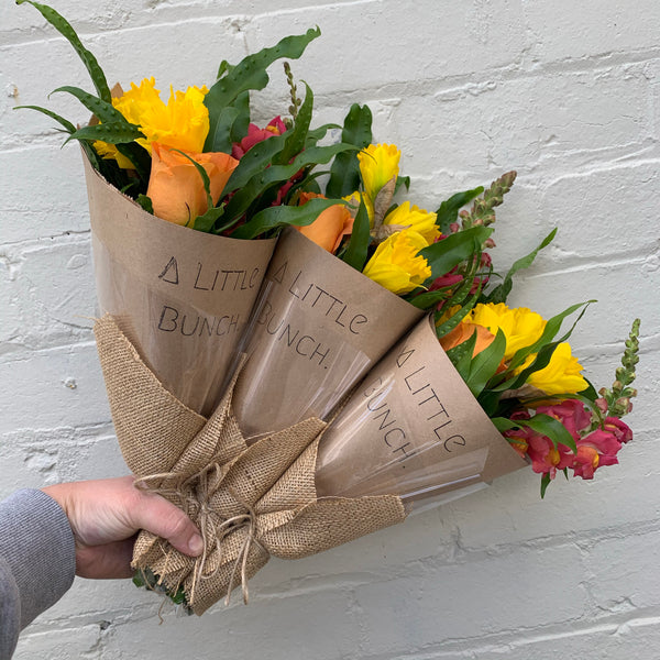 Past Little Bunch - Friday 21st August 2020