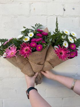 A Little Bunch - Monday 27th February 2023