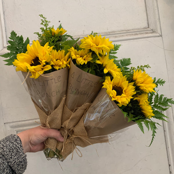 Past Little Bunch - Monday 7th September 2020