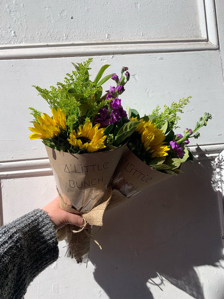 Past Little Bunch - Monday 12th August 2019