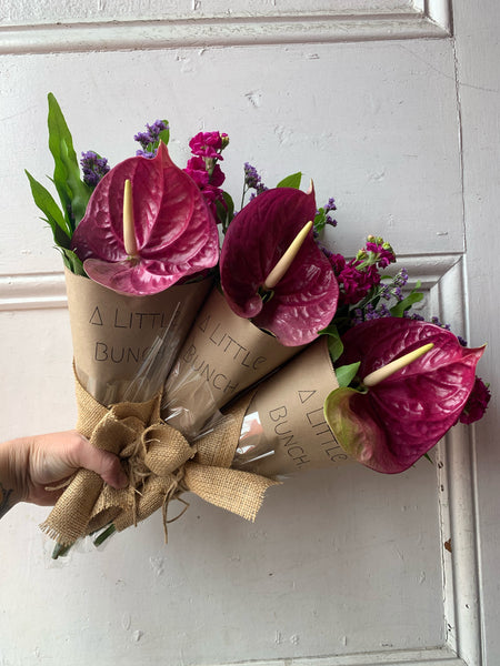 Past Little Bunch - Monday 14th October 2019