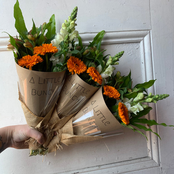 Past Little Bunch -Thursday 22nd October 2020