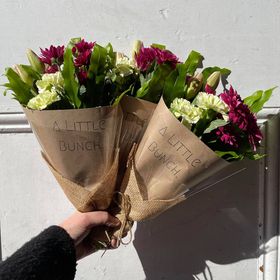 Past Little Bunch - Thursday 24th June 2021