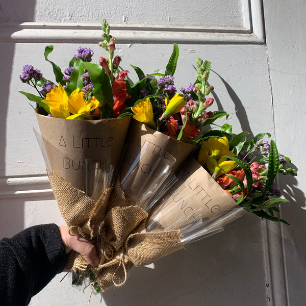 Past Little Bunch - Thursday 30th July 2020