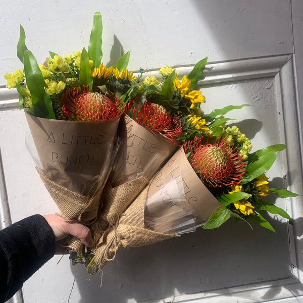 Past Little Bunch - Thursday 3rd September 2020