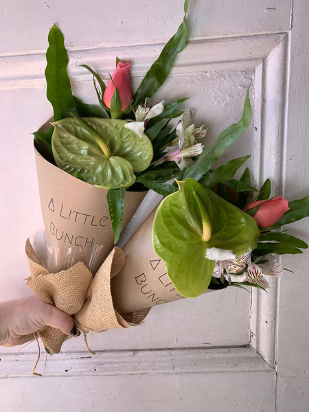 Past Little Bunch- Thursday 12th September