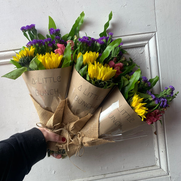 Past Little Bunch - Tuesday 14th July 2020