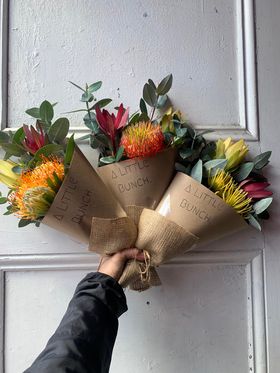 A Little Bunch - Tuesday 20th September 2022