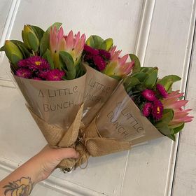 Past Little Bunch - Tuesday 23rd February 2021