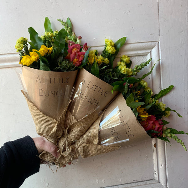 Past Little Bunch - Tuesday 25th August 2020