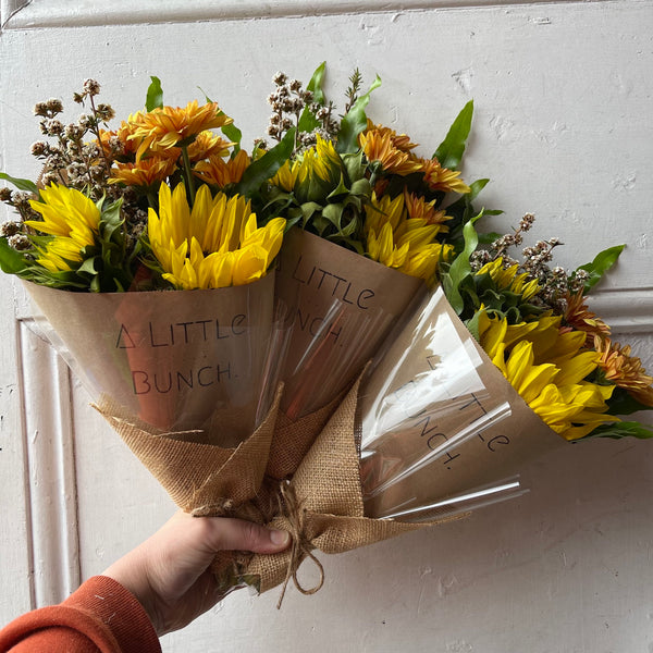 Past Little Bunch - Tuesday 25th May 2021