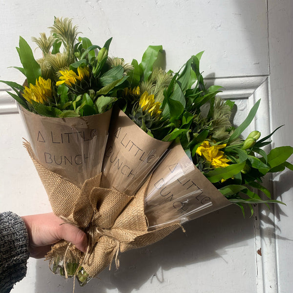 Past Little Bunch - Tuesday 28th July 2020