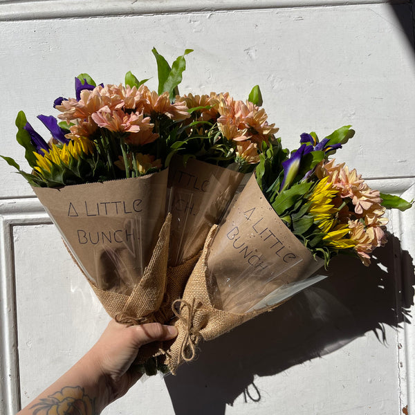 Past Little Bunch - Wednesday 12th May 2021