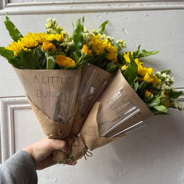 Past Little Bunch - Wednesday 19th May 2021