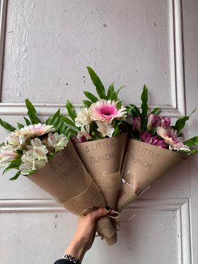 A Little Bunch -  Wednesday 9th November 2022
