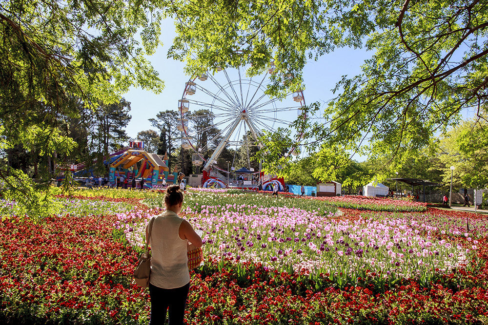 Floriade 2016 | Australian Flowers Week