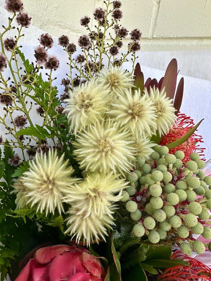 Best Fresh Flowers Perth | A Little Bunch