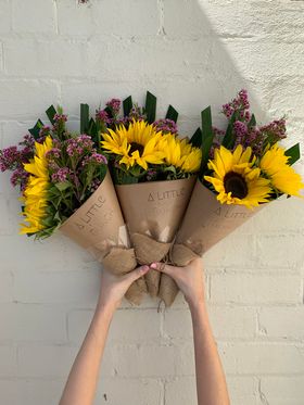 A Little Bunch - Monday 113th March 2023