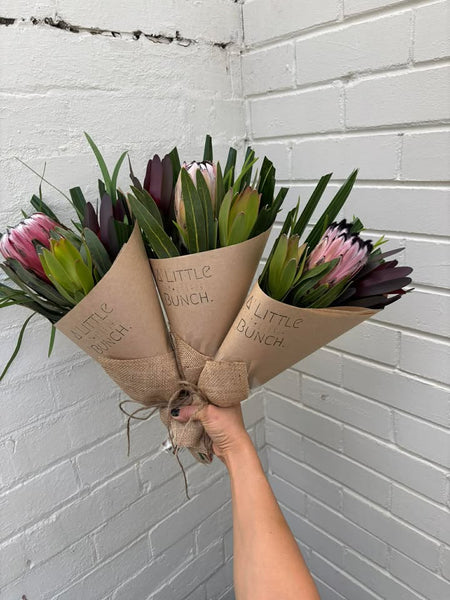 A Little Bunch - Tuesday 2nd of June 2026