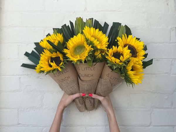 A Little Bunch - Wednesday 20th August 2025