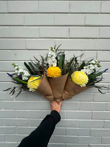 A Little Bunch - Monday 15th June 2026