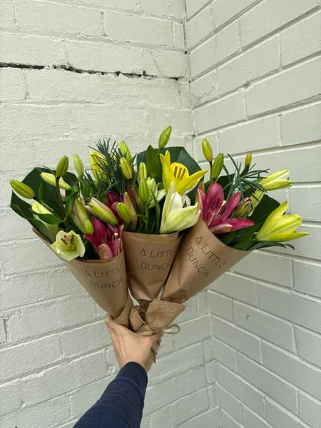 A Little Bunch - Tuesday 19th May 2026