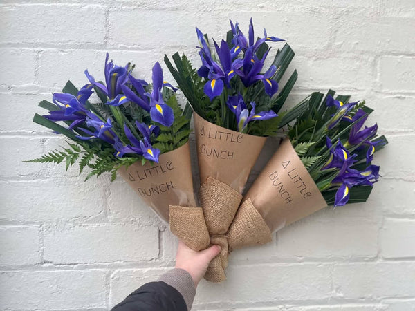 A Little Bunch - Wednesday 23rd July 2025