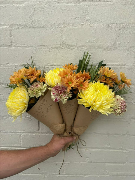 A Little Bunch - Thursday 12th March 2026