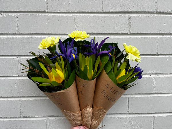 A Little Bunch - Wednesday 22nd July 2026