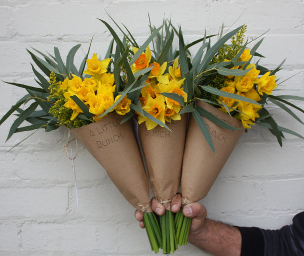 Pre Order A Little Bunch for Daffodil Day Friday 28th August 2020