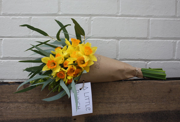 Pre Order A Little Bunch for Daffodil Day Friday 28th August 2020